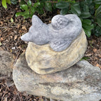 Cat Kitten Memorial Statue Ornament Animal Concrete Cement Garden Australia Made