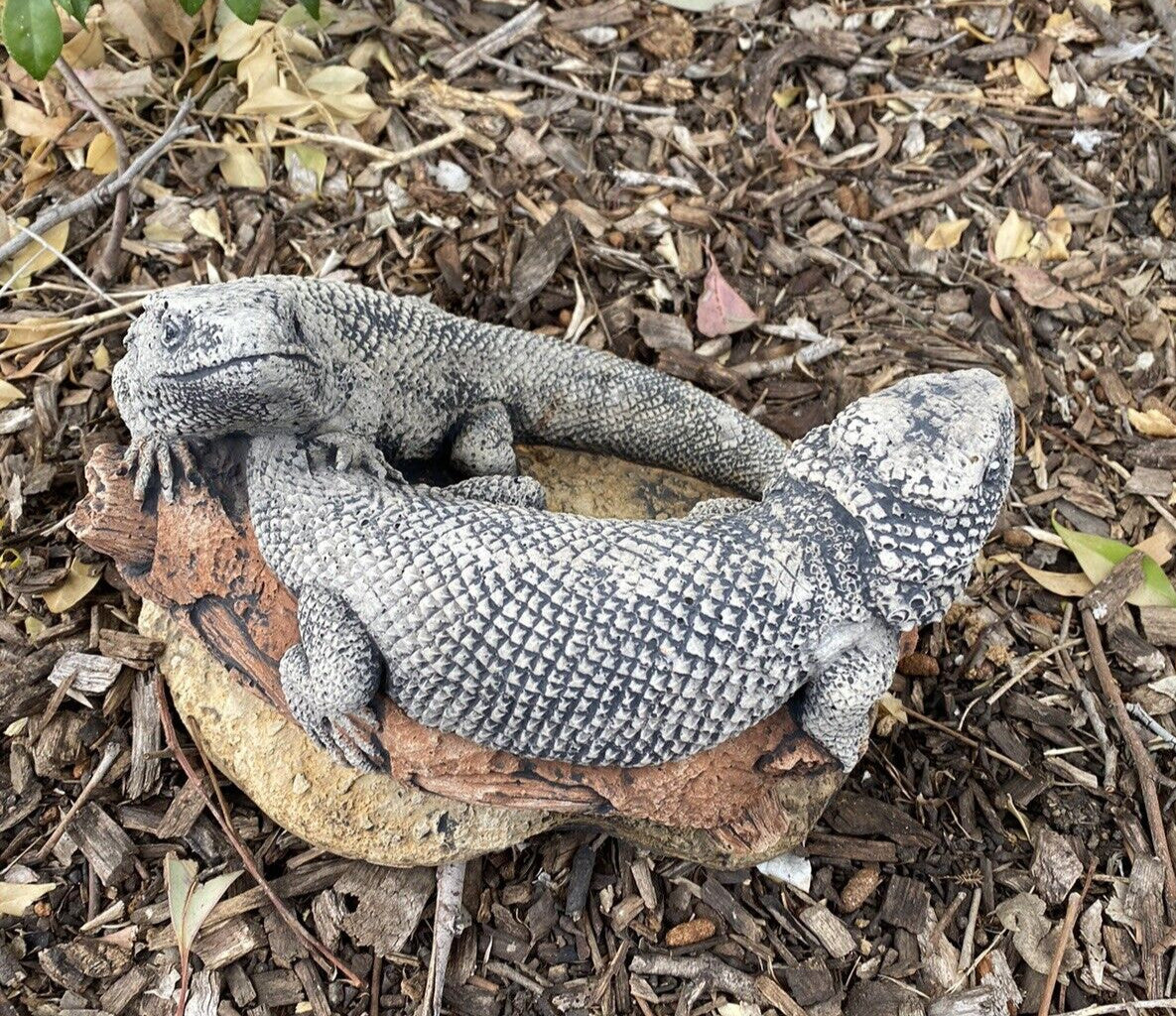 Bearded Dragon Lizard Garden Statue Ornament Animal Concrete Australia Made Pair