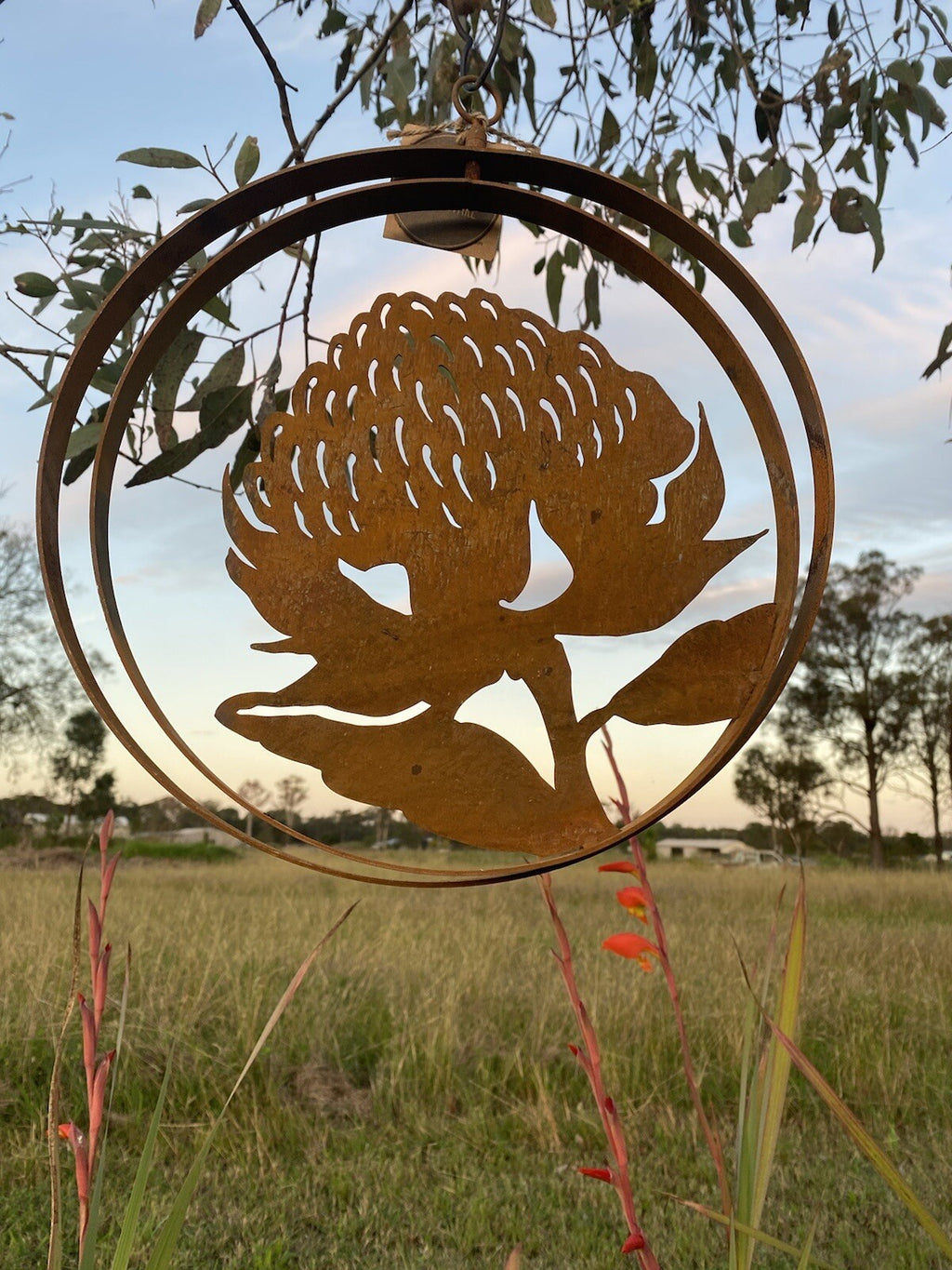 Australian Waratah Flower Round Rust Corten Steel Metal Hanging Double Ring 34cm