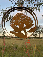 Australian Waratah Flower Round Rust Corten Steel Metal Hanging Double Ring 34cm