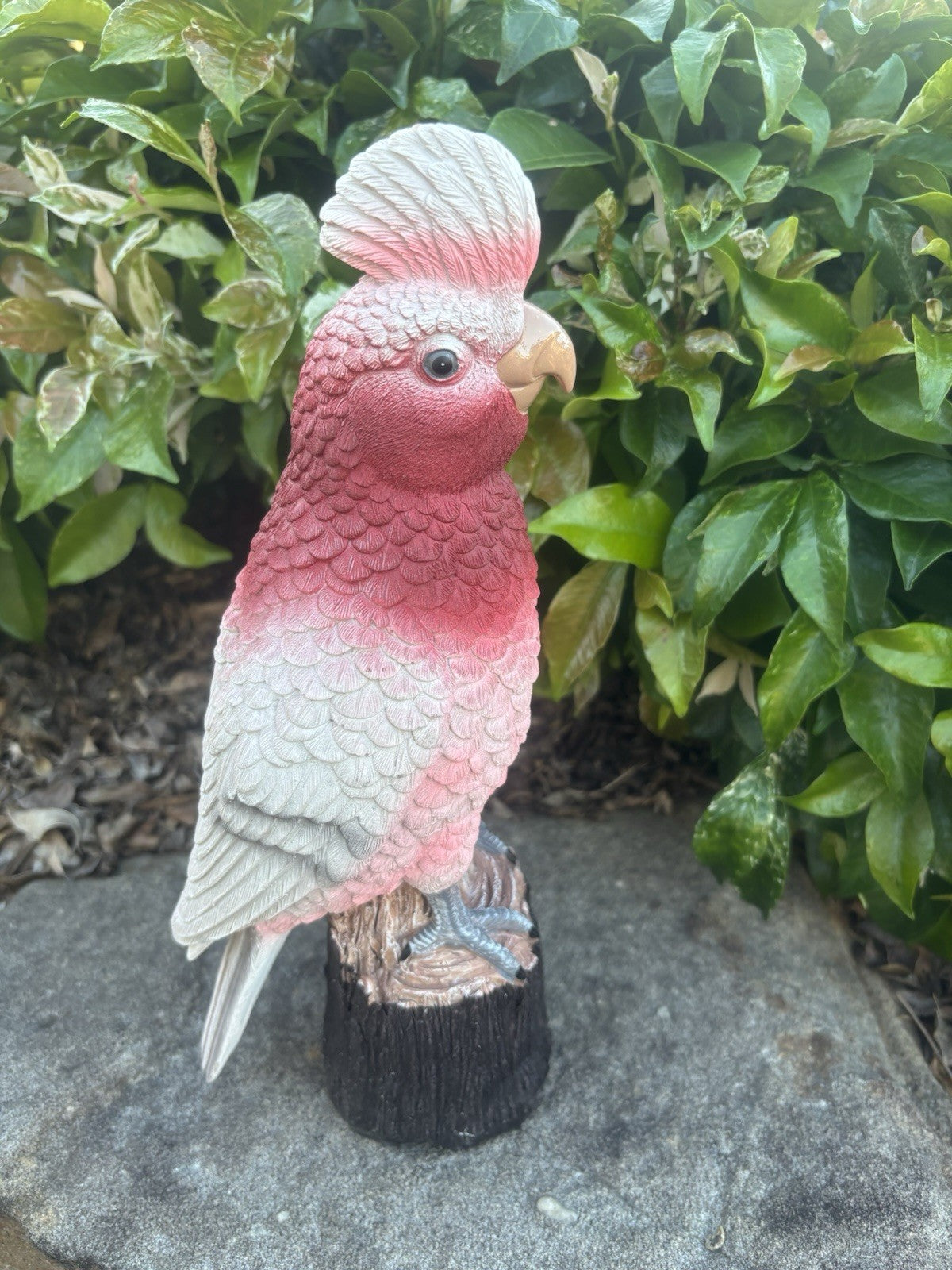 Resin Galah Parrot Bird Garden Statue Australian Bird Ornament 30cm
