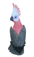 REALISTIC AUSTRALIAN GALAH COCKATOO WALL PLAQUE HANGER ORNAMENT 36CM