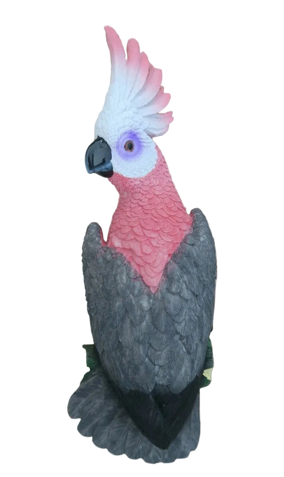 REALISTIC AUSTRALIAN GALAH COCKATOO WALL PLAQUE HANGER ORNAMENT 36CM