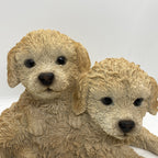 CAVOODLE STATUE CREAM PUPPY DOG ANIMAL GARDEN ORNAMENT SCULPTURE MONAY BOX
