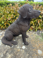 Resin Chocolate Labrador Dog Statue Garden Ornament Sitting Puppy