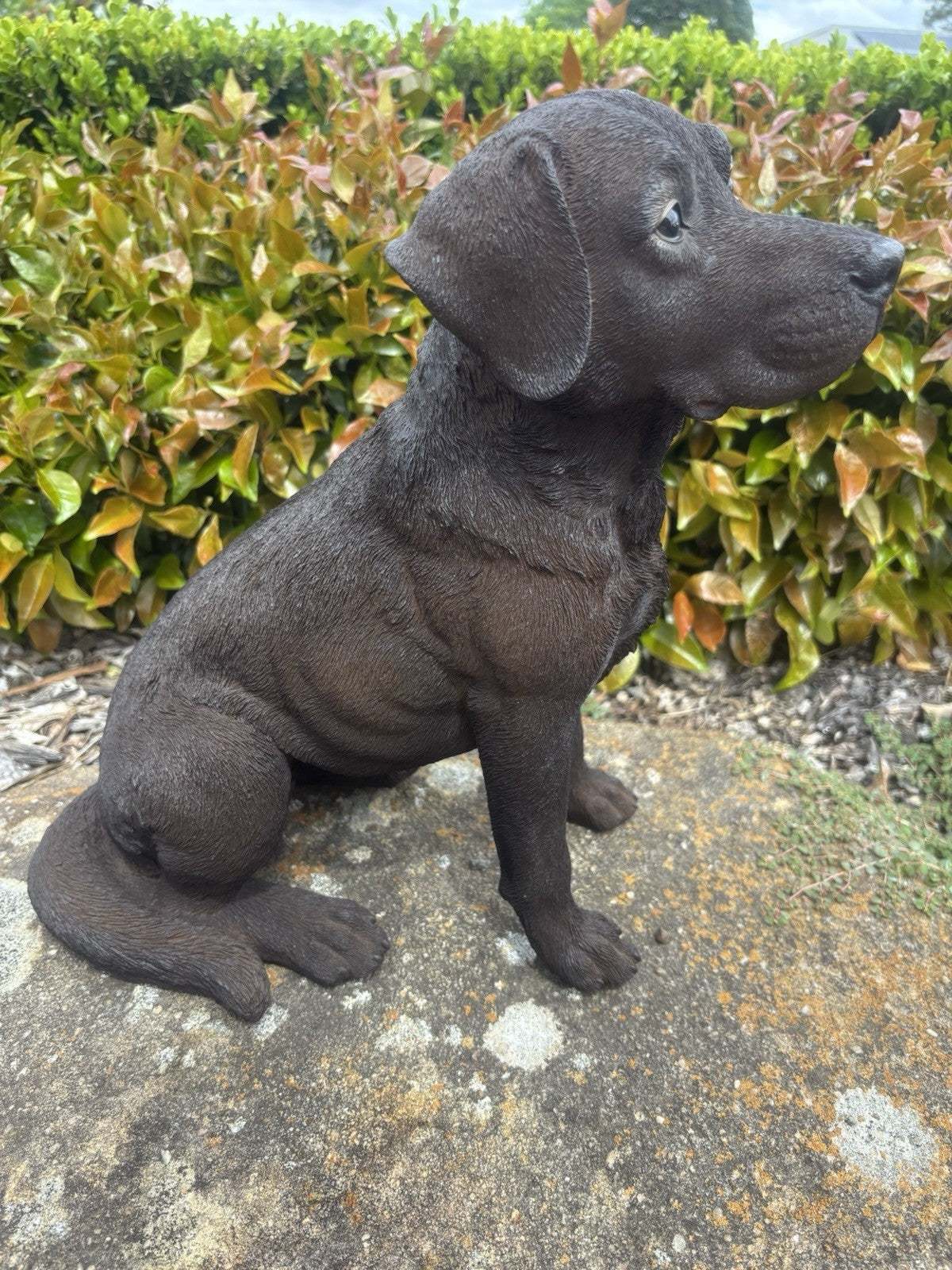 Resin Chocolate Labrador Dog Statue Garden Ornament Sitting Puppy