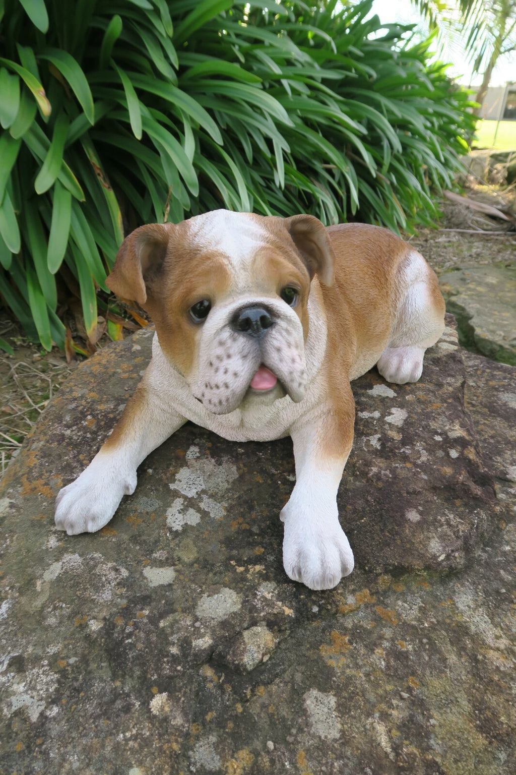 English Bulldog Statue Dog Doggy Memorial Ornament Home Decor Brown and  White