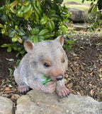 AUSTRALIAN WOMBAT EATING A LEAF GARDEN STATUE
