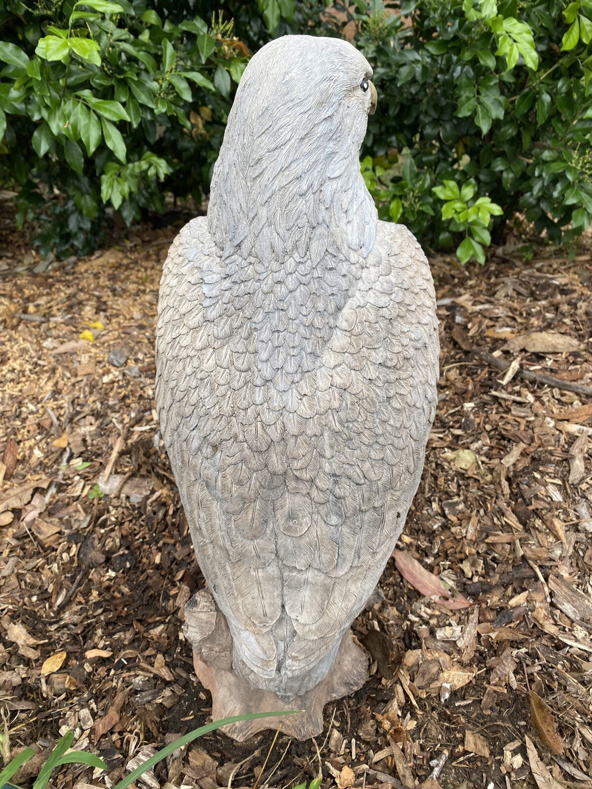 Bold Eagle Bird Statue Ornament Animal Concrete Garden Australian Made 53cm High