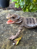 Bearded Dragon Lizard Garden Statue Ornament Figurine