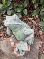 Frog and BUB Animal Concrete Cement Garden Statue Australian Made