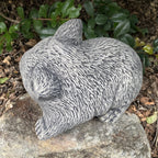 Australian Wombat Statue Ornament Animal Concrete Cement Garden Australian Made