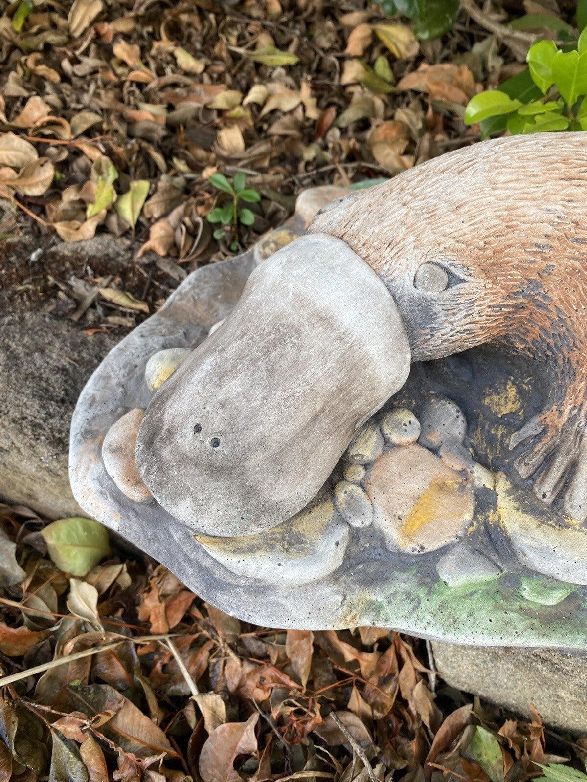Australian Native Platypus Animal Concrete Cement Garden Statue Australian Made