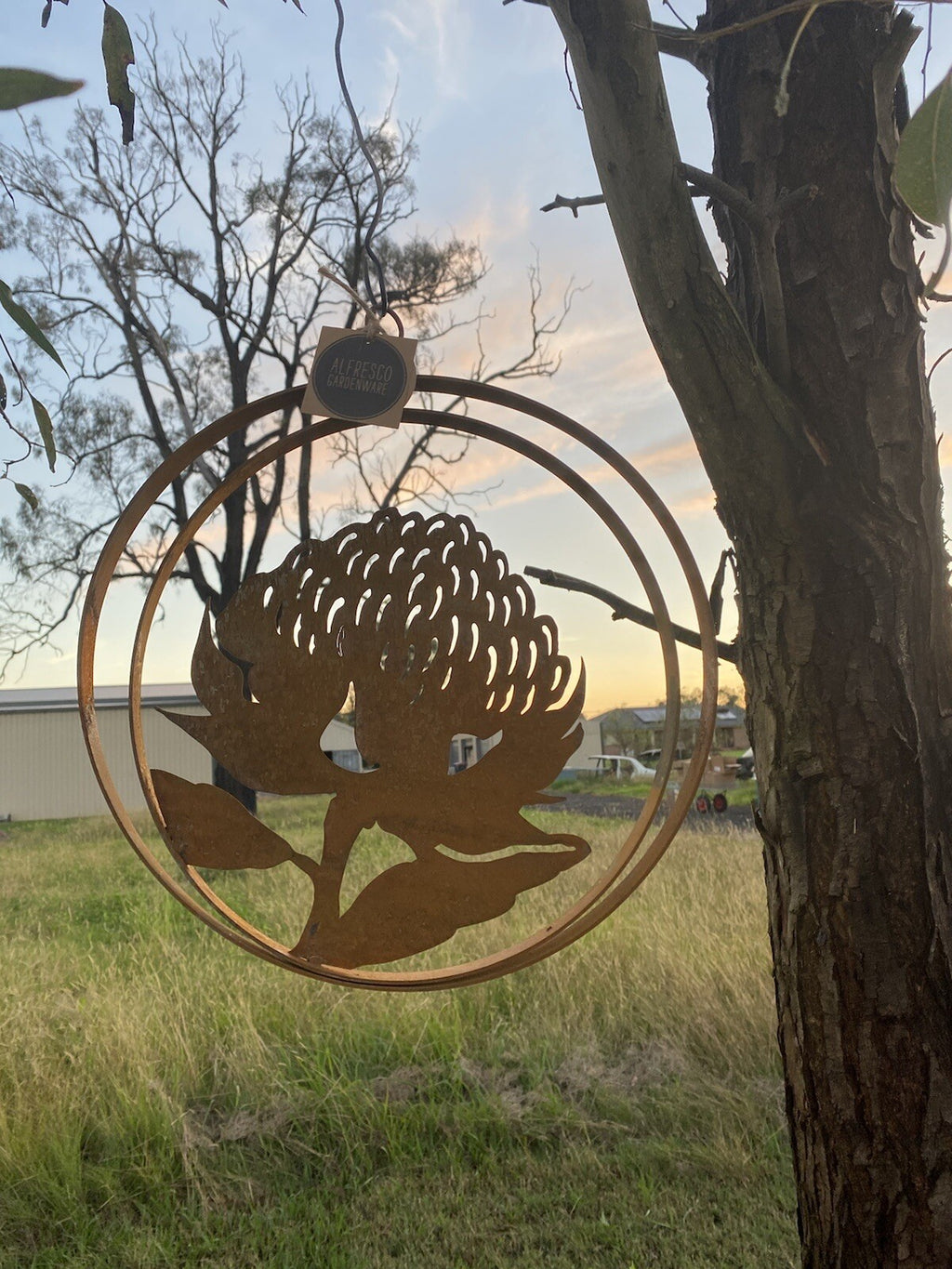 Australian Waratah Flower Round Rust Corten Steel Metal Hanging Double Ring 34cm