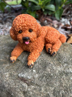 CAVOODLE SPOODLE POODLE STATUE APRICOT PUPPY DOG ANIMAL GARDEN ORNAMENT
