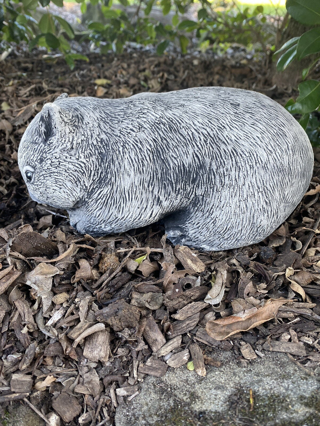 Australian Wombat Grazing Statue Ornament Animal Concrete Garden Australian Made