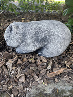 Australian Wombat Grazing Statue Ornament Animal Concrete Garden Australian Made