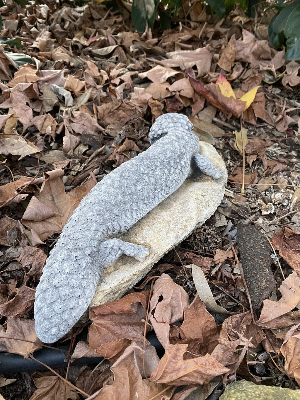 Shingleback Lizard Statue Ornament Animal Cement Concrete Garden Australian Made