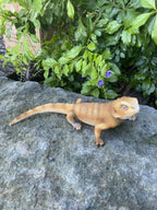 Bearded Dragon Lizard Garden Statue Ornament Figurine