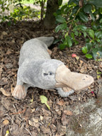 Platypus Statue Ornament Animal Concrete Cement Garden Australian Made