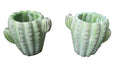 CACTUS PHOENIX POT PLANT PLANTER  SUCCULENTS GARDEN PLANT FEATURE SET OF 2