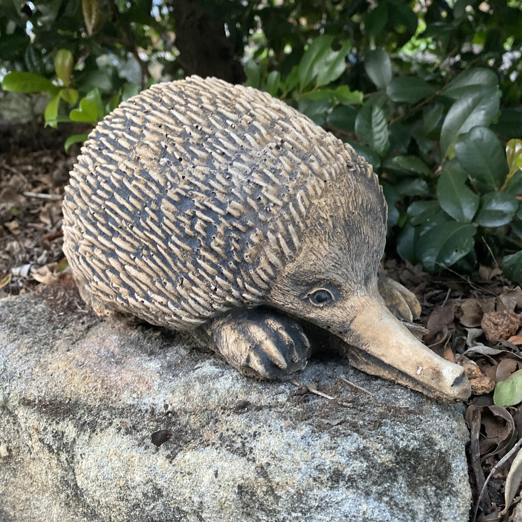 Australian Echidna Statue Ornament Animal Concrete Cement Garden Australian Made
