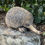 Australian Echidna Statue Ornament Animal Concrete Cement Garden Australian Made