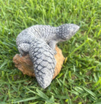 Concrete Shingleback Lizard Garden Statue – Realistic Australian Bobtail Outdoor