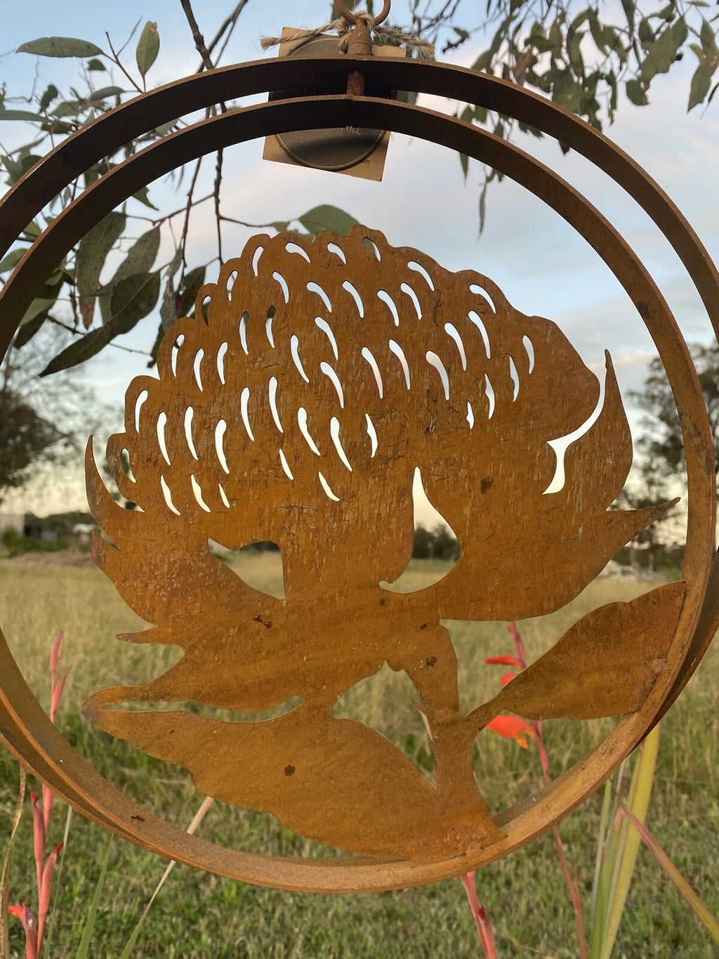 Australian Waratah Flower Round Rust Corten Steel Metal Hanging Double Ring 34cm