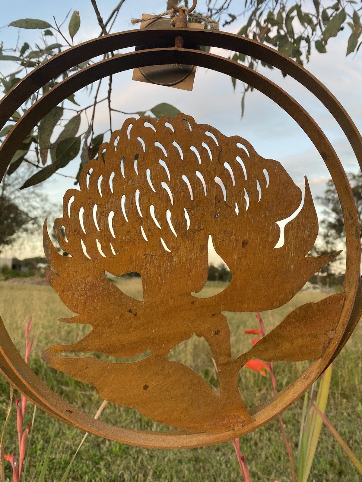 Australian Waratah Flower Round Rust Corten Steel Metal Hanging Double Ring 34cm