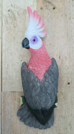 REALISTIC AUSTRALIAN GALAH COCKATOO WALL PLAQUE HANGER ORNAMENT 36CM