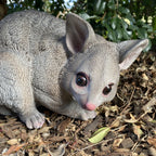 Australian Possum Garden Statue Ornament Sculpture Home décor  Figurine 37CM