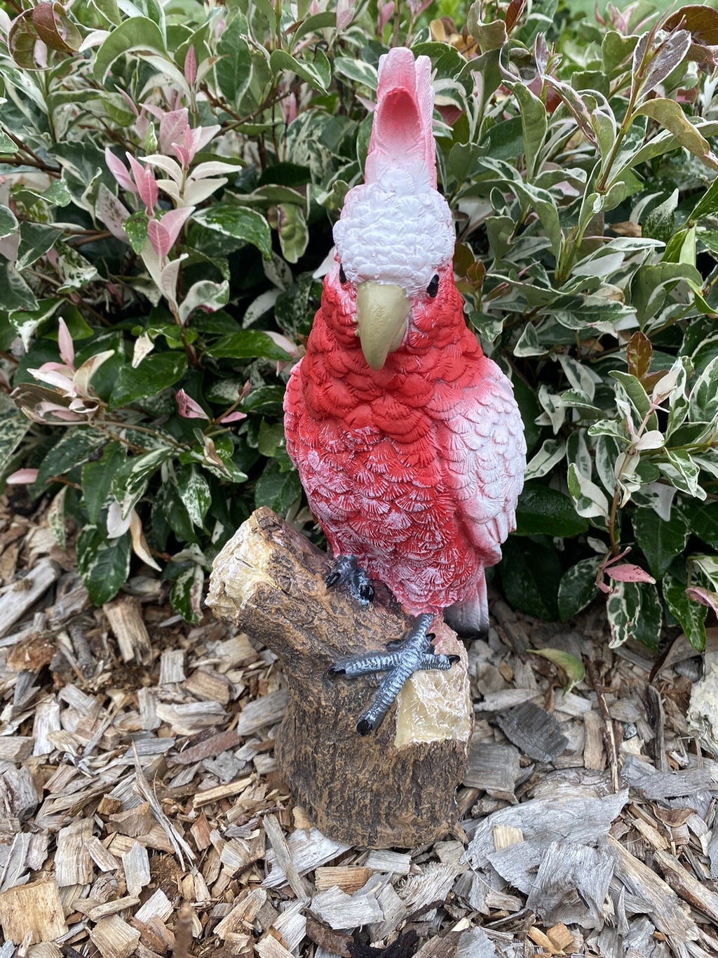 AUSTRALIAN MAJOR MITCHEL BIRD ON A BRANCH ANIMAL GARDEN STATUE ORNAMENT GIFT