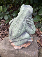 Frog and BUB Animal Concrete Cement Garden Statue Australian Made