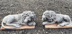 Guardian Lion Pair Statue Concrete Cement Garden Statue Australian Made