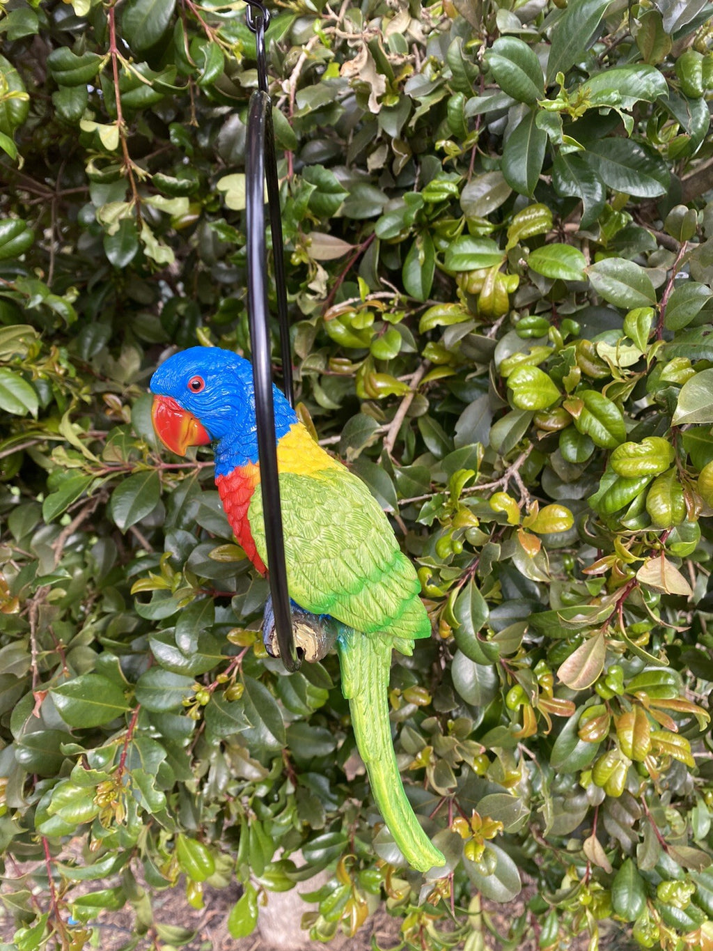 Australian Rainbow Lorikeet Bird in Ring Birds Statue Garden Ornament Decor 22cm