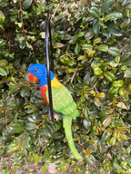 Australian Rainbow Lorikeet Bird in Ring Birds Statue Garden Ornament Decor 22cm