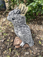 Sulfa Crested Cockatoo Statue Ornament Animal Concrete Garden Australian Made G