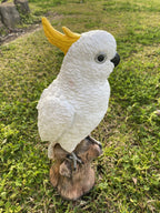 Sulfa Crested Cockatoo Garden Statue Ornament Animal Concrete  Australian Made