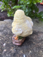 Chicks Chicken Poultry Statue Ornament Figurine
