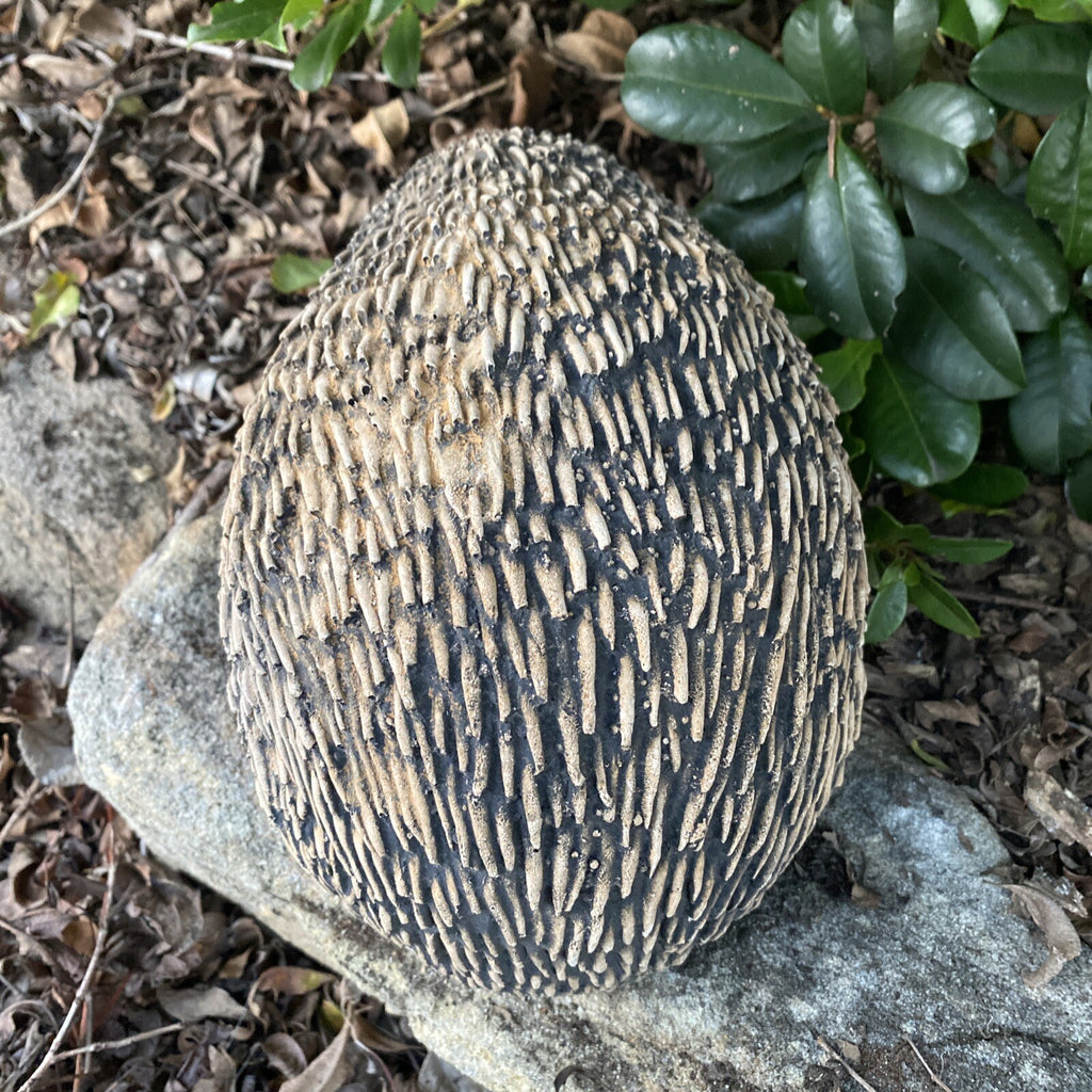 Australian Echidna Statue Ornament Animal Concrete Cement Garden Australian Made