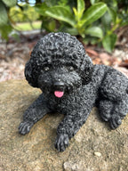 CAVOODLE SPOODLE POODLE STATUE BLACK PUPPY DOG ANIMAL GARDEN ORNAMENT SCULPTURE
