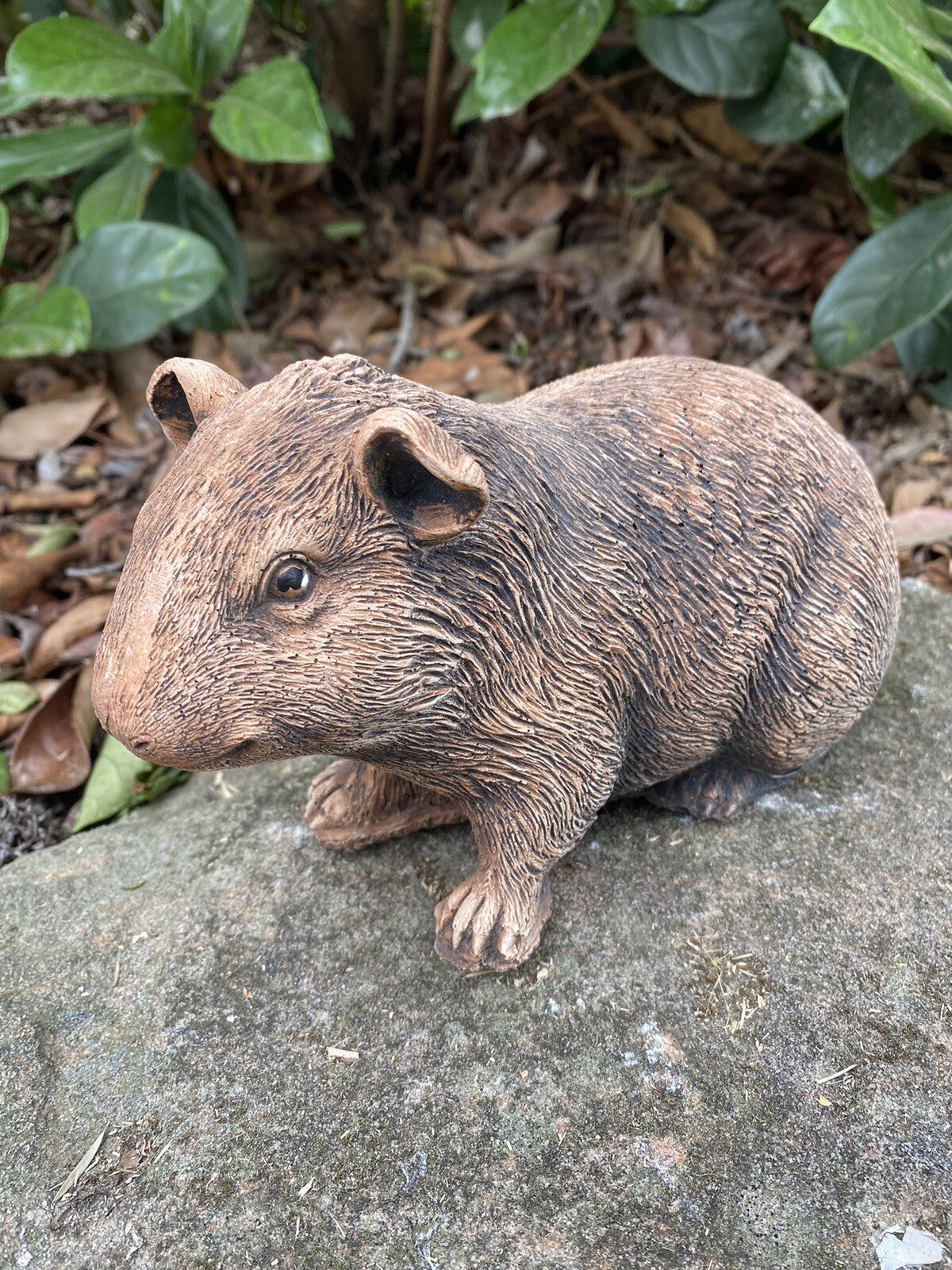 Guinea Pig Statue Ornament Farm Animal Concrete Garden Australian Made Brown