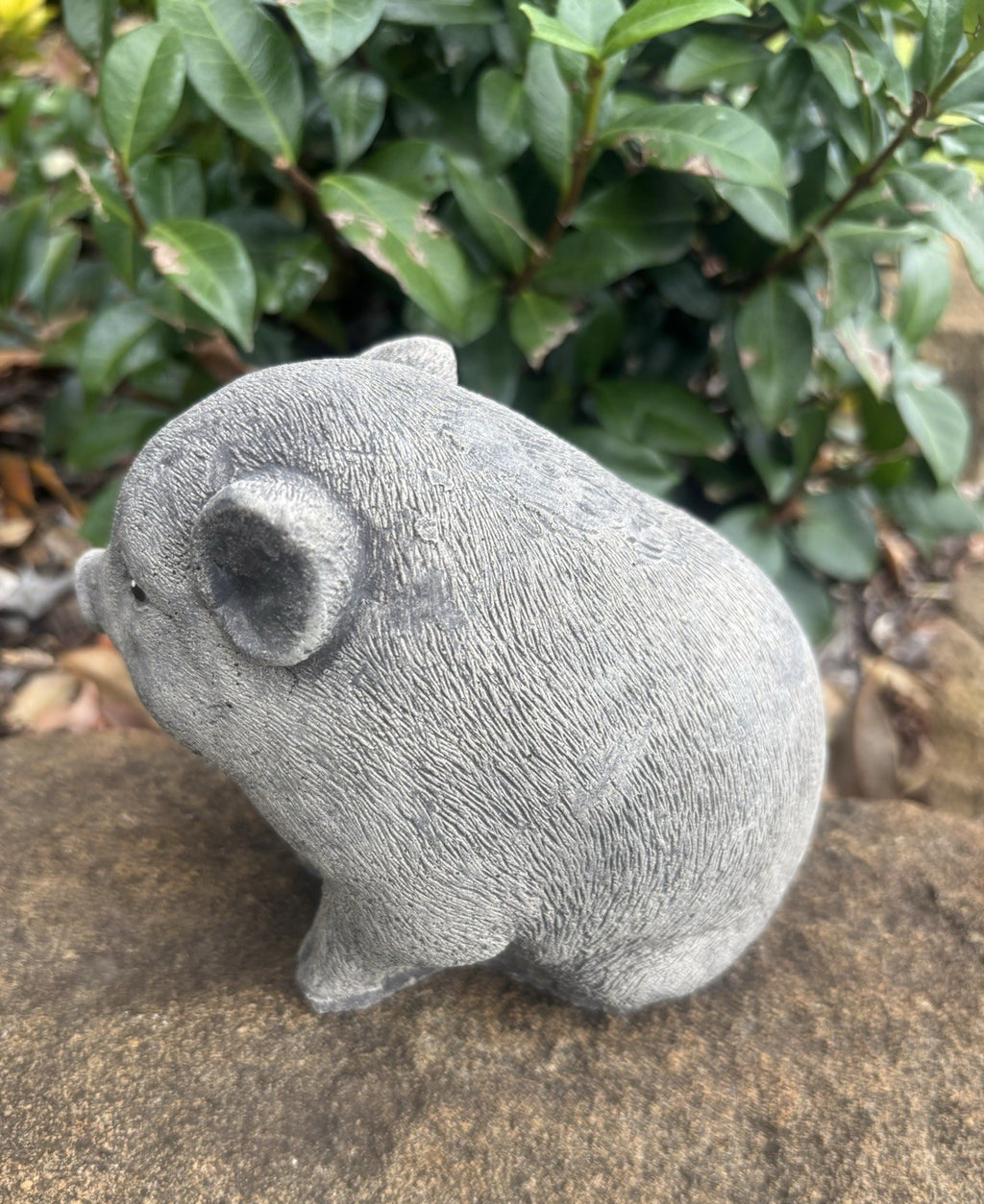 Little Pig Piglet Statue Farm Ornament Animal Concrete Garden Australian Made