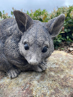 Australian Possum Concrete Cement Garden Statue Ornament Sculpture Home décor