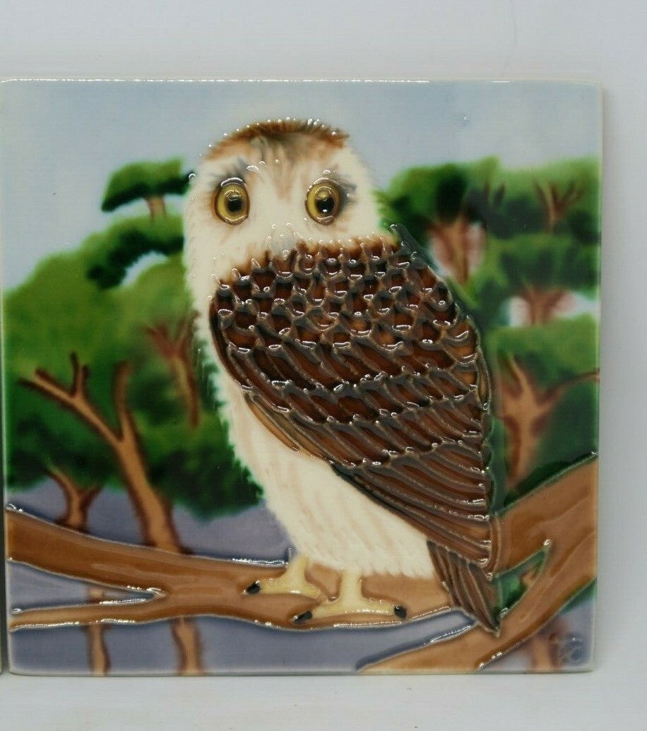 2 x Barn Owl Birds tile wall art hanger indoor outdoor Home Decor Square
