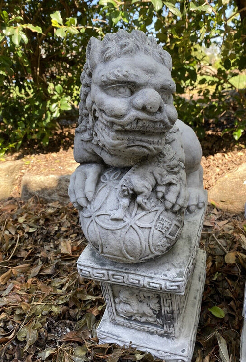 Australian Made Concrete Foo Dog Pair Garden Statues – Outdoor Garden Ornaments
