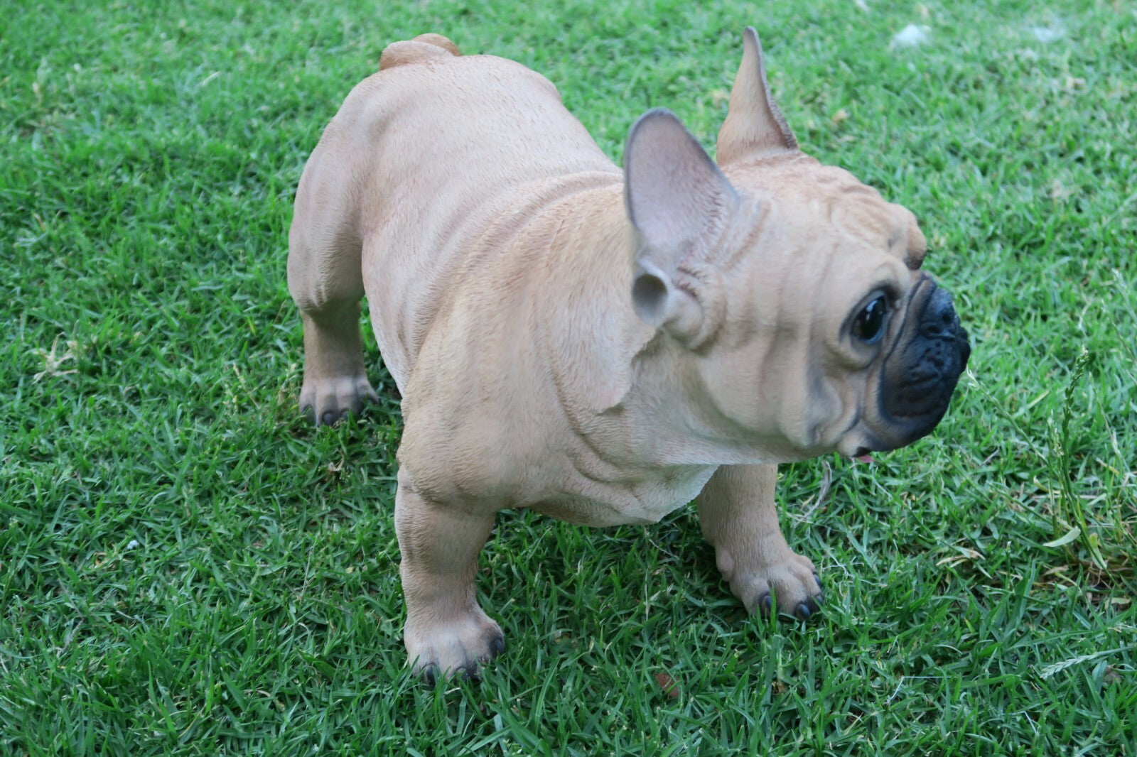 French Bulldog Statue Dog Doggy Memorial Ornament Frenchie Home Decor Brown