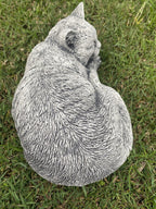 Grey Cat Statue Memorial Sleeping Kitten Animal Concrete Australian Made