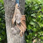 Bat Statue Concrete Garden Australian Made